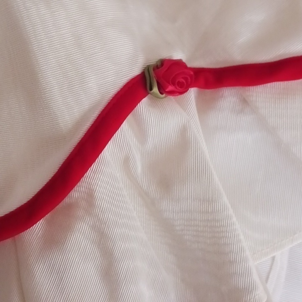 Youngsport Red Velvet Ivory Taffeta Dress - Picture 8 of 12